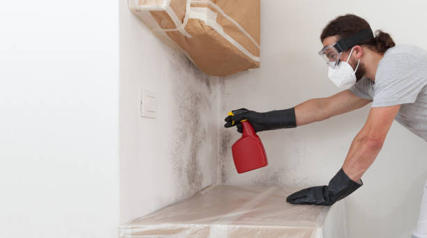 Professional Bathroom Mold Removal technician working in Saugus, MA