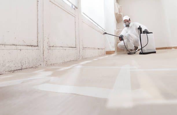 24/7 Emergency Bathroom Mold Removal experts in Saugus, MA